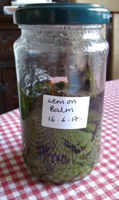 Lemon Balm remedy
