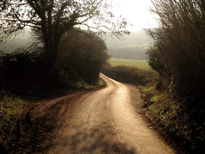 country lanes