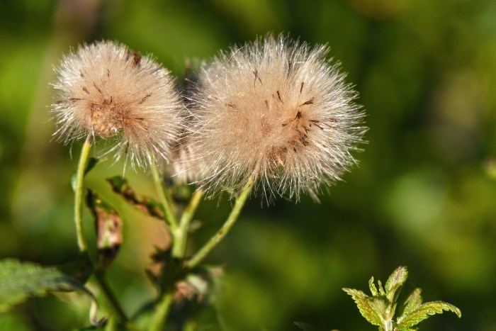 3D570871-322D-41B9-8643-C81CA0710334