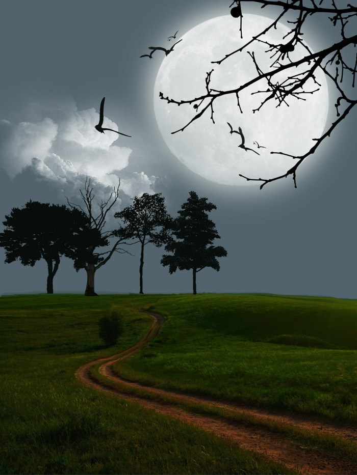 12B62583-B9A0-4D11-954E-85281E1F3E01