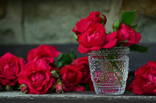 roses-821705__340